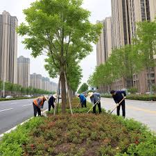 2026世界杯官网 我县城市绿化